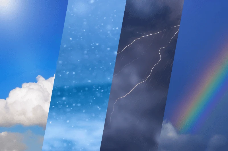 clima y plagas en aragon