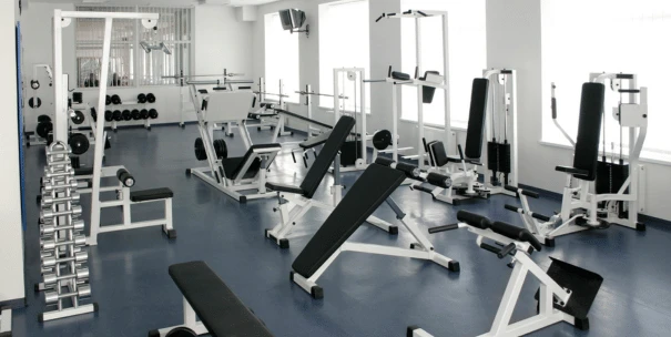 plagas en instalaciones deportivas